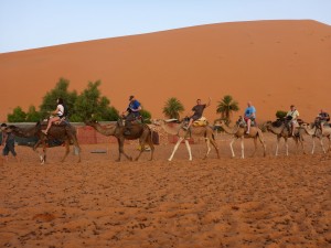 Experience the Moroccan lifestyle